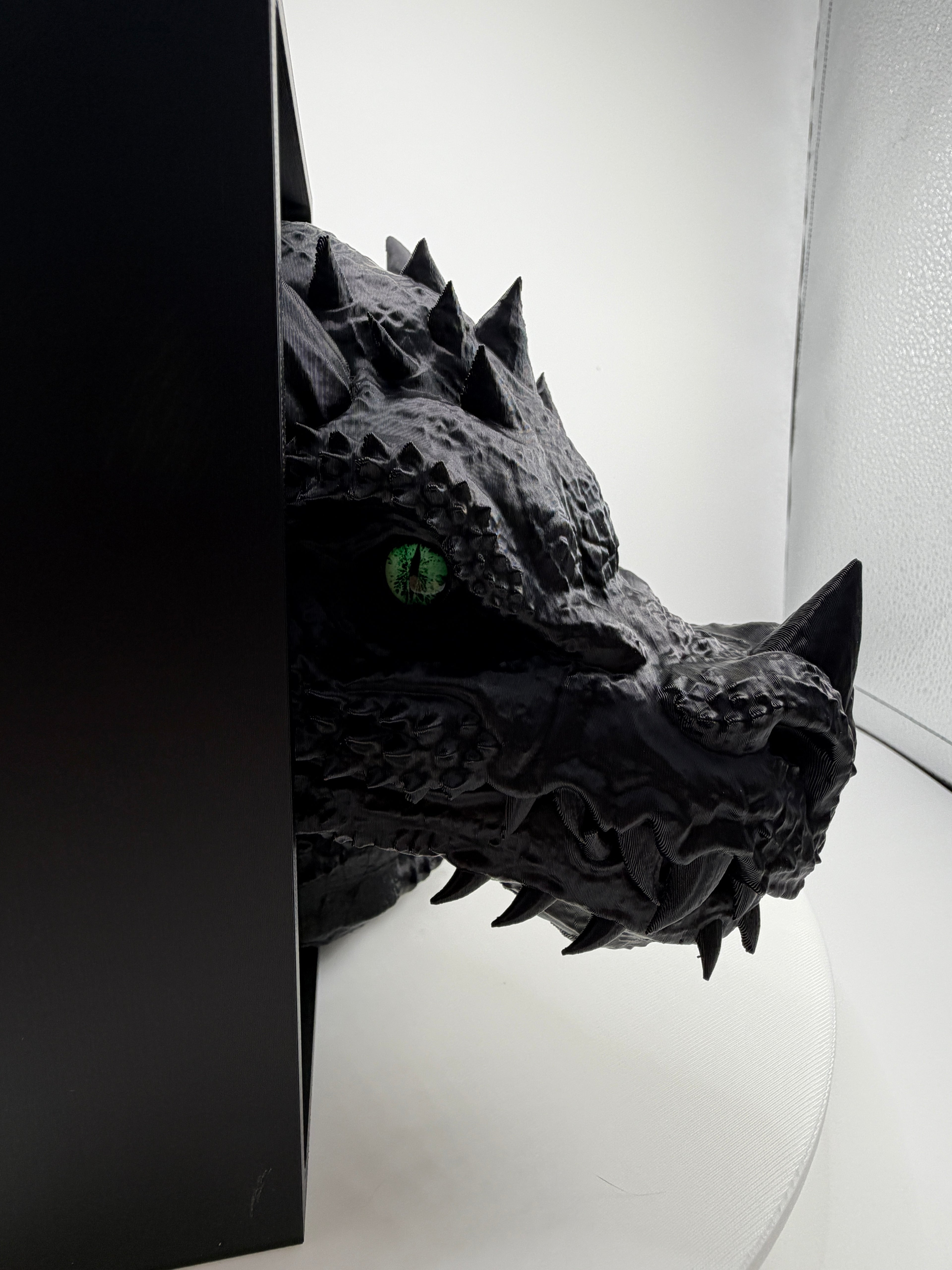 Dragon Book Nook Shelf Insert | 3D Printed Fantasy Decor, Realistic